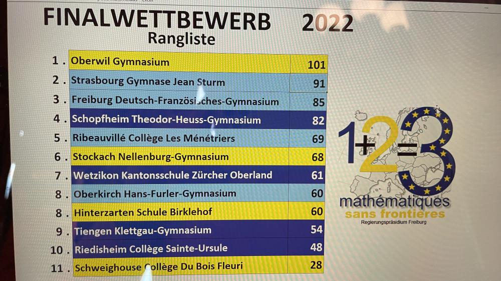 Großer Erfolg der Kl.10d bei Mathematik ohne Grenzen