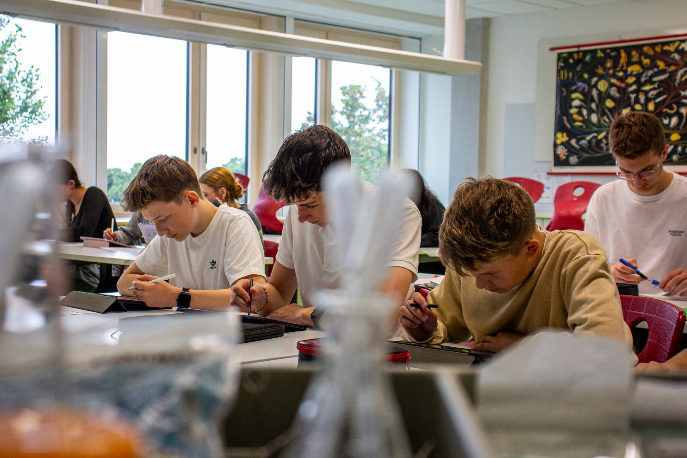 klasse_bio_arbeitet2