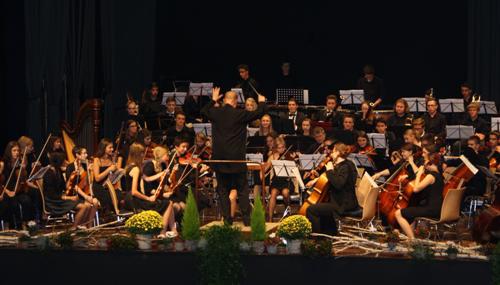 Orchesterkonzert 2014