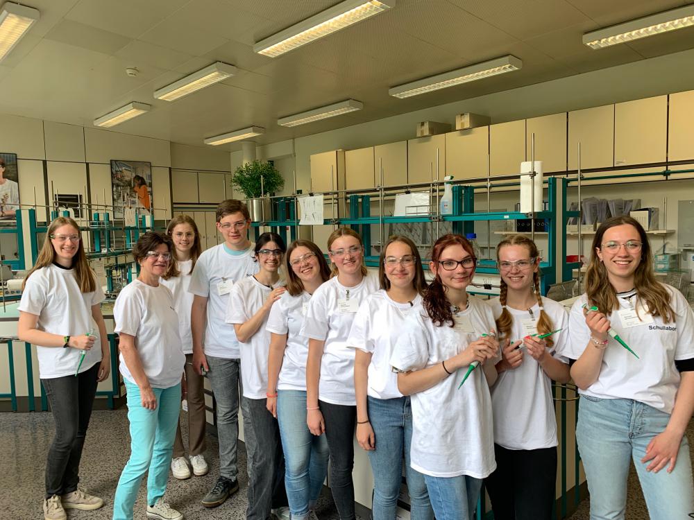 Praktikum bei Novartis