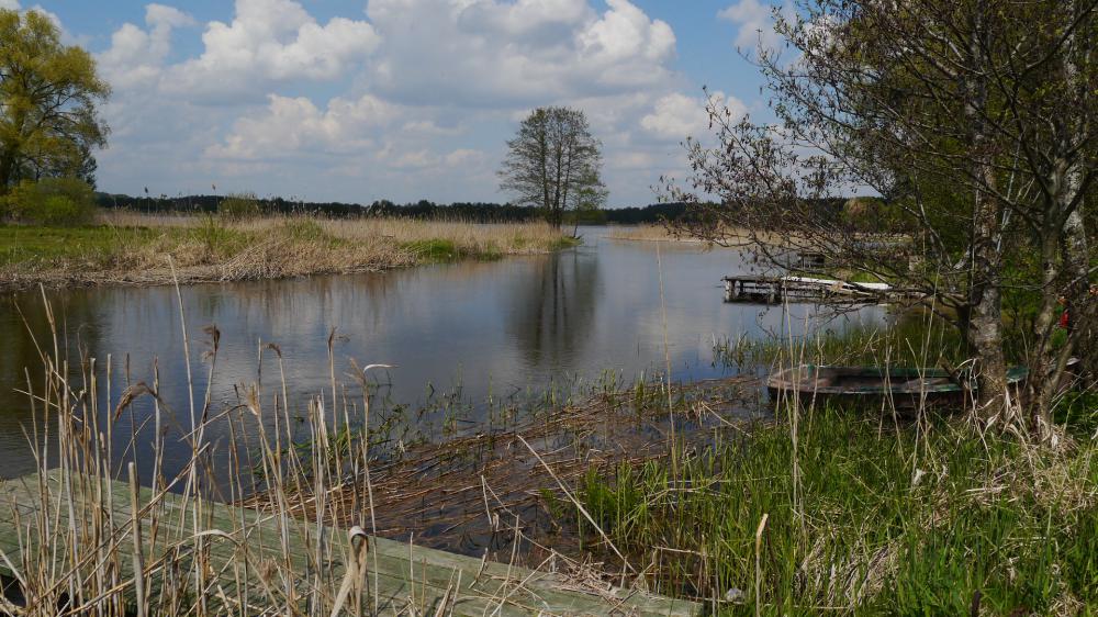 Schülerinnen und Schüler des HFG entdecken Polen