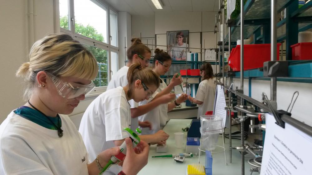 "Super-Schmecker, Schmecker oder Nicht-Schmecker" - Auf der Suche nach einer Mutation in der eigenen DNA