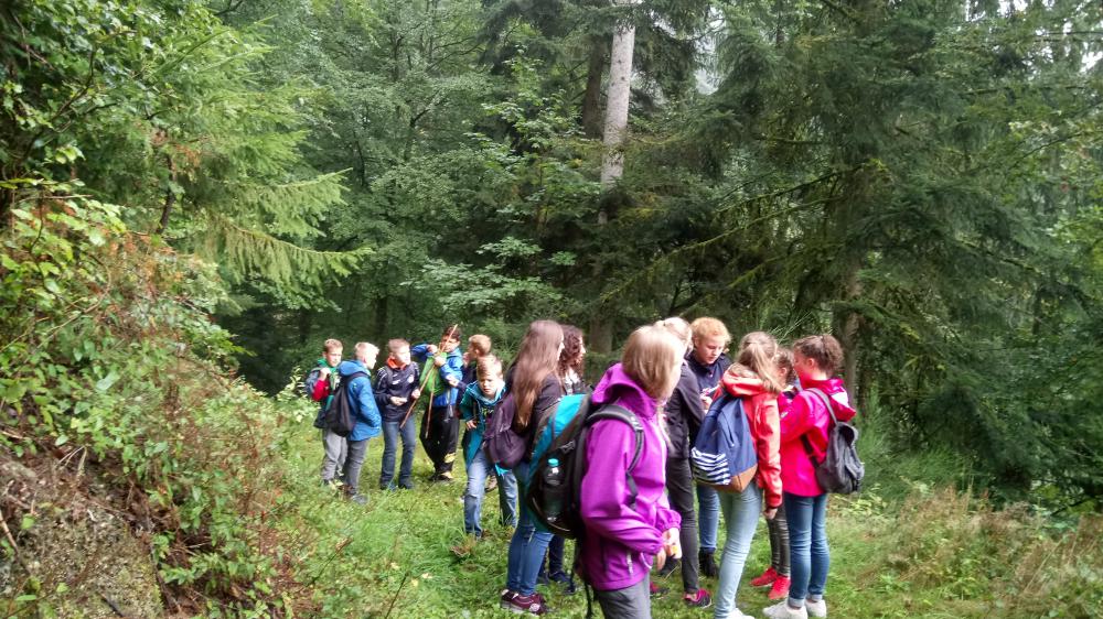 Wandern in den Herbst