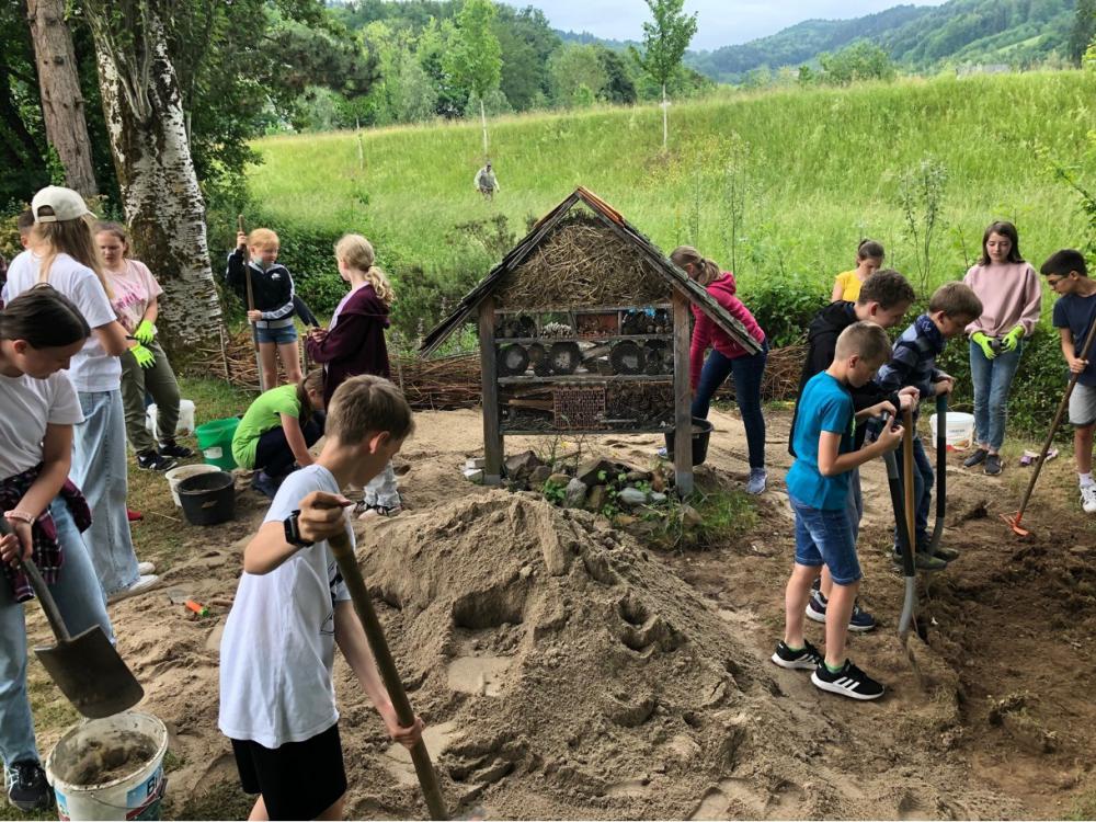Wildbienen-Projekt am HFG